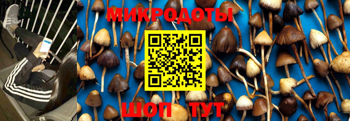 как найти закладки  Галлюциногенные грибы Psilocybe  Вход с VPN  Белово 